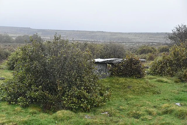 Archaeological Excavations of Gleninsheen (Wedge Tomb)