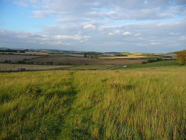 Archaeological Findings of Danebury