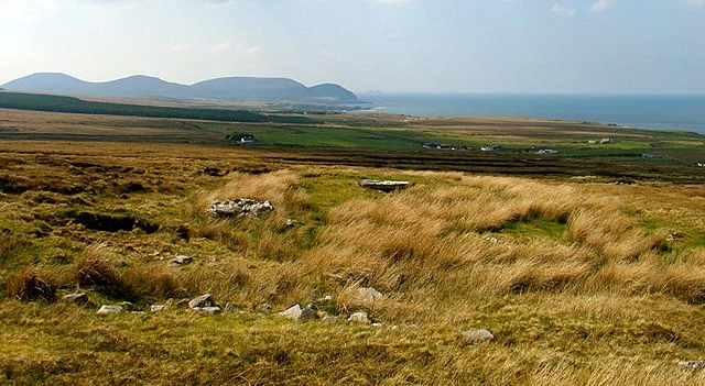 Architectural Features of Behy Court Tomb