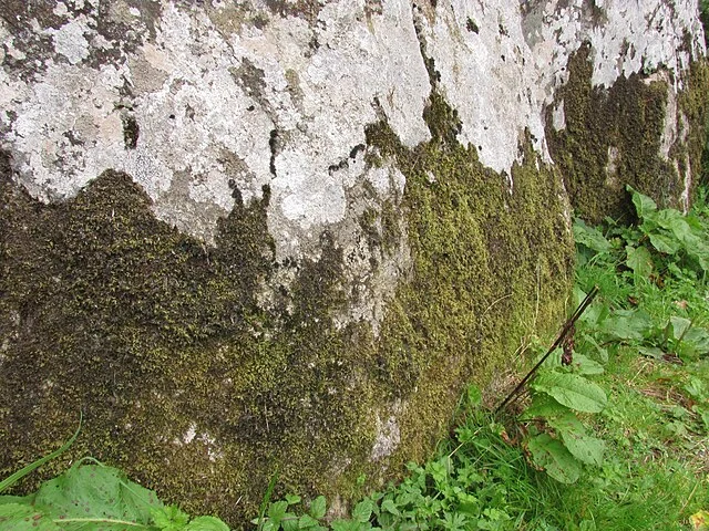 Architectural Features of Knockeen Portal Tomb