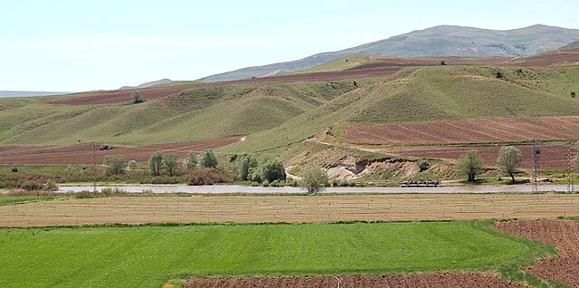 Artifacts and Structures of Kayalıpınar