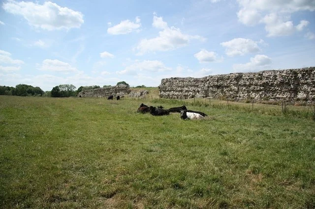 Decline and Abandonment of Calleva Atrebatum