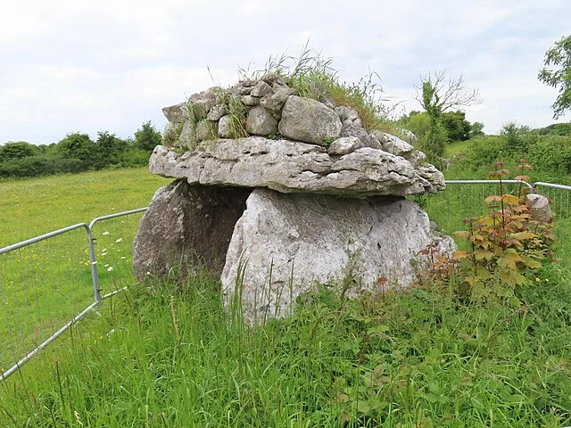 Doorus Demesne Wedge Tomb