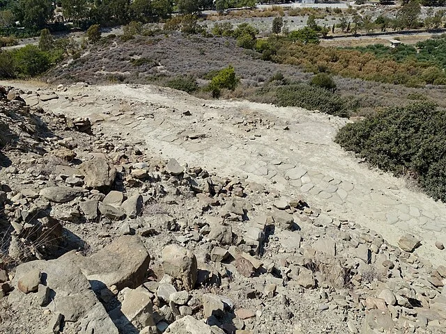 Economic Activities in Myrtos Pyrgos