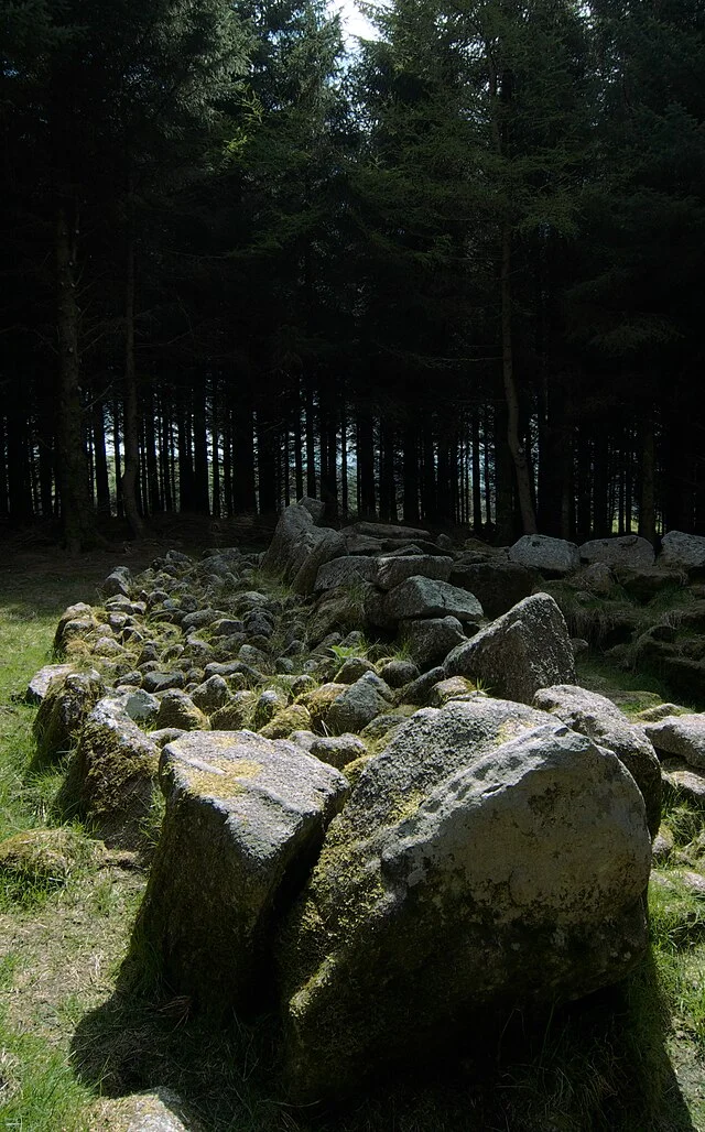 Excavation and Findings of Ballyedmonduff Wedge Tomb