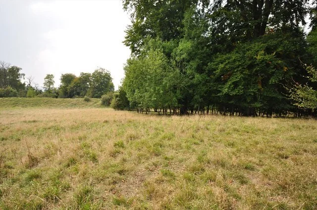 Fortification and Defensive Features of Danebury