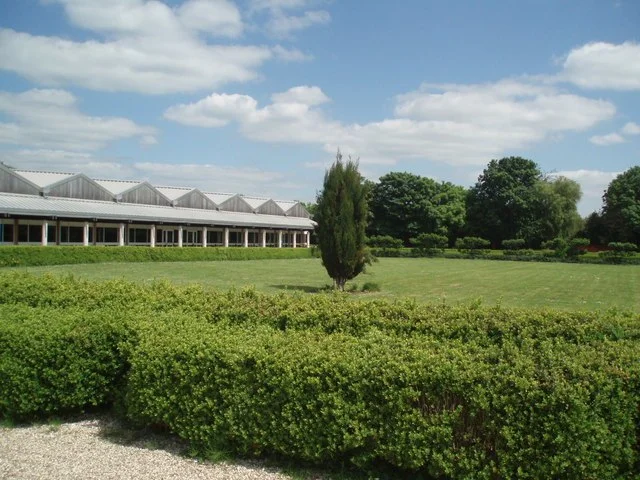 Function and Inhabitants of Fishbourne Roman Palace