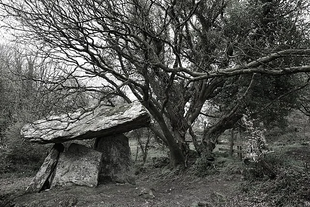 Historical Context of Gaulstown Portal Tomb