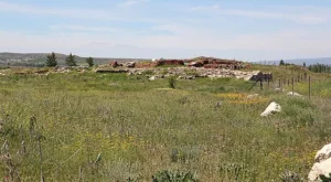 Kayalıpınar