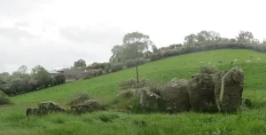 Lisnadarragh Wedge Tomb