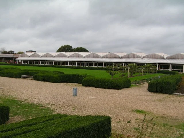 Mosaics and Decoration of Fishbourne Roman Palace