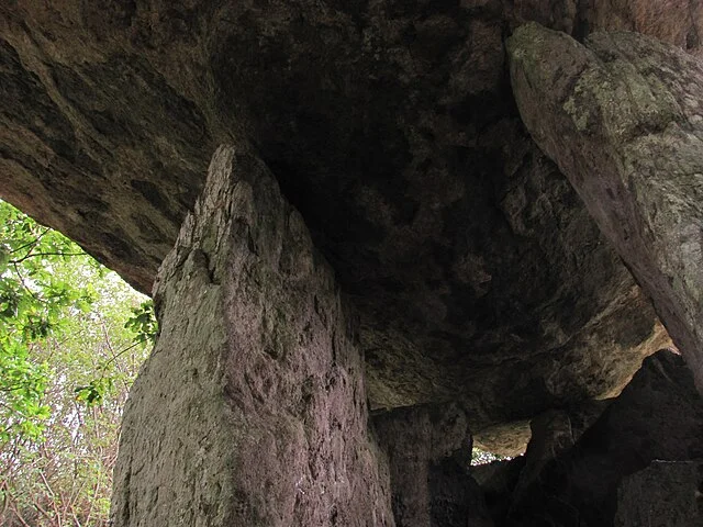 Preservation and Access of Gaulstown Portal Tomb