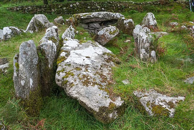 Preservation and Current State of Moylisha Wedge Tomb