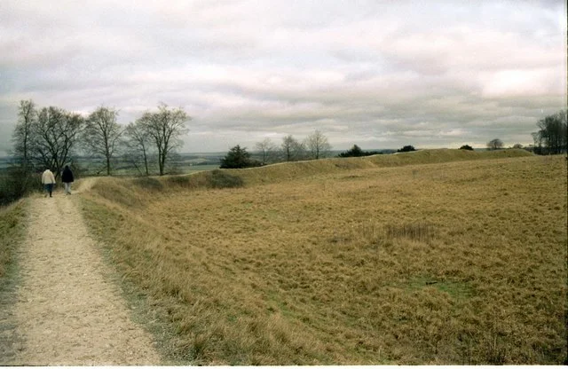 Role in Iron Age Society of Danebury