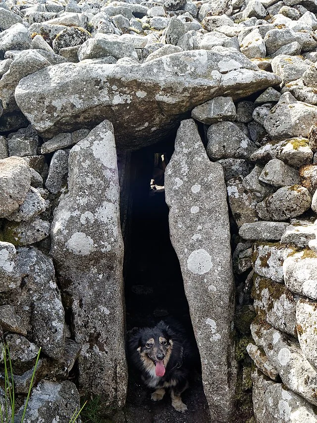 Significance of Seefin Passage Tomb