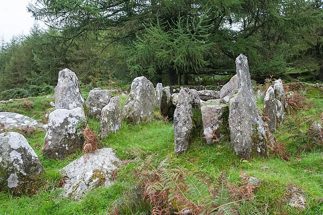 Structural Features of Moylisha Wedge Tomb