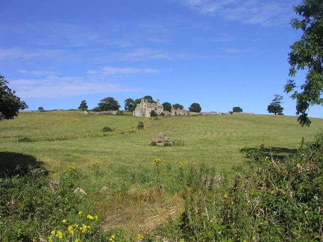 Structure and Design of Rathfranpark Wedge Tomb