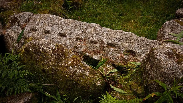 Structure and Features of Ballyedmonduff Wedge Tomb