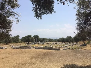 Teos