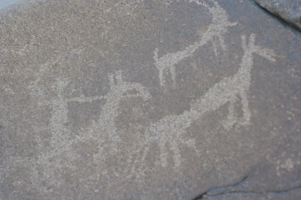 Close-up of engraved rock art at Chilas showing animal and human figures pecked into the stone surface