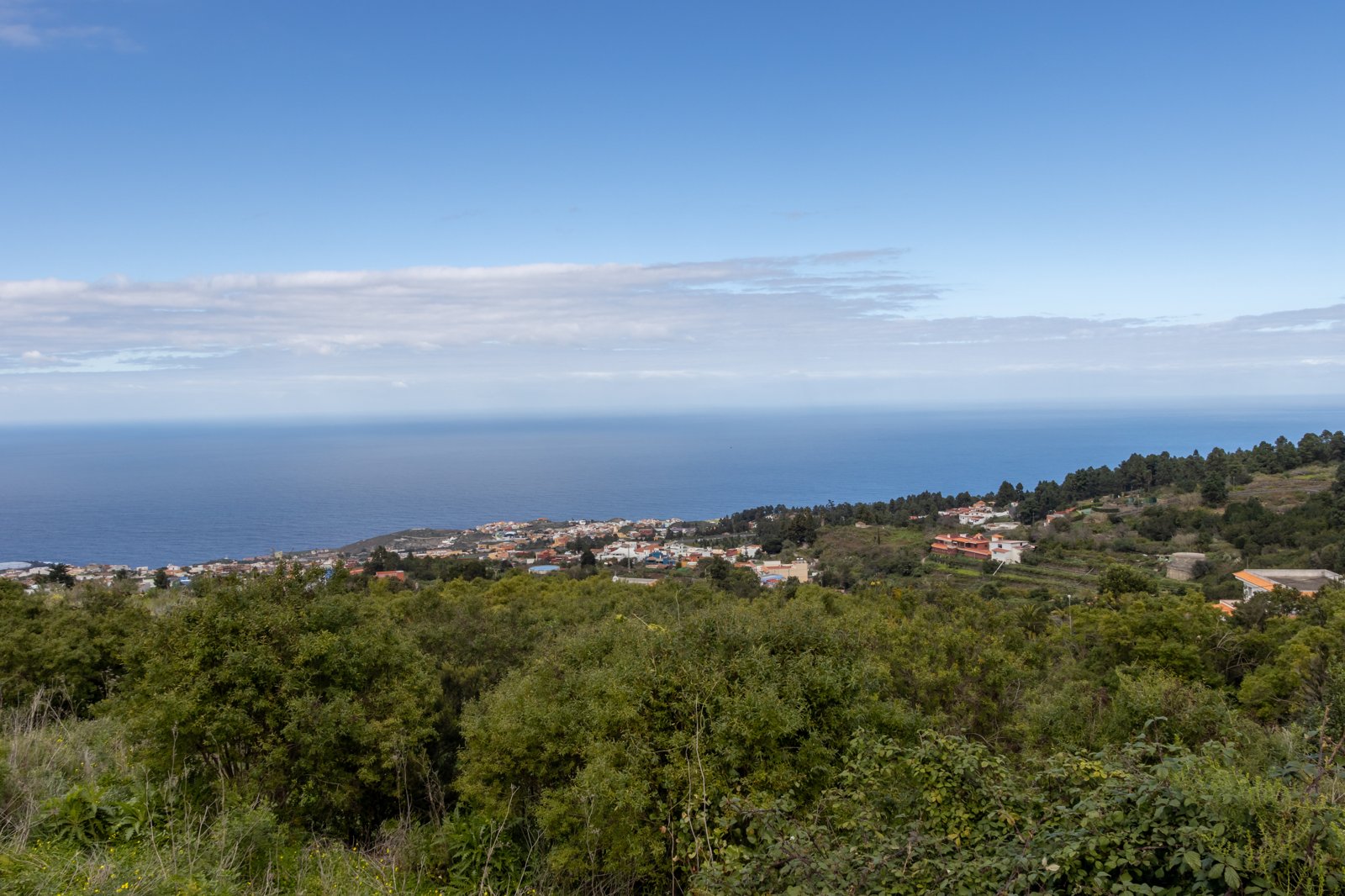 Cueva del Viento: Tenerife’s 17-km Guanche Lava Tube