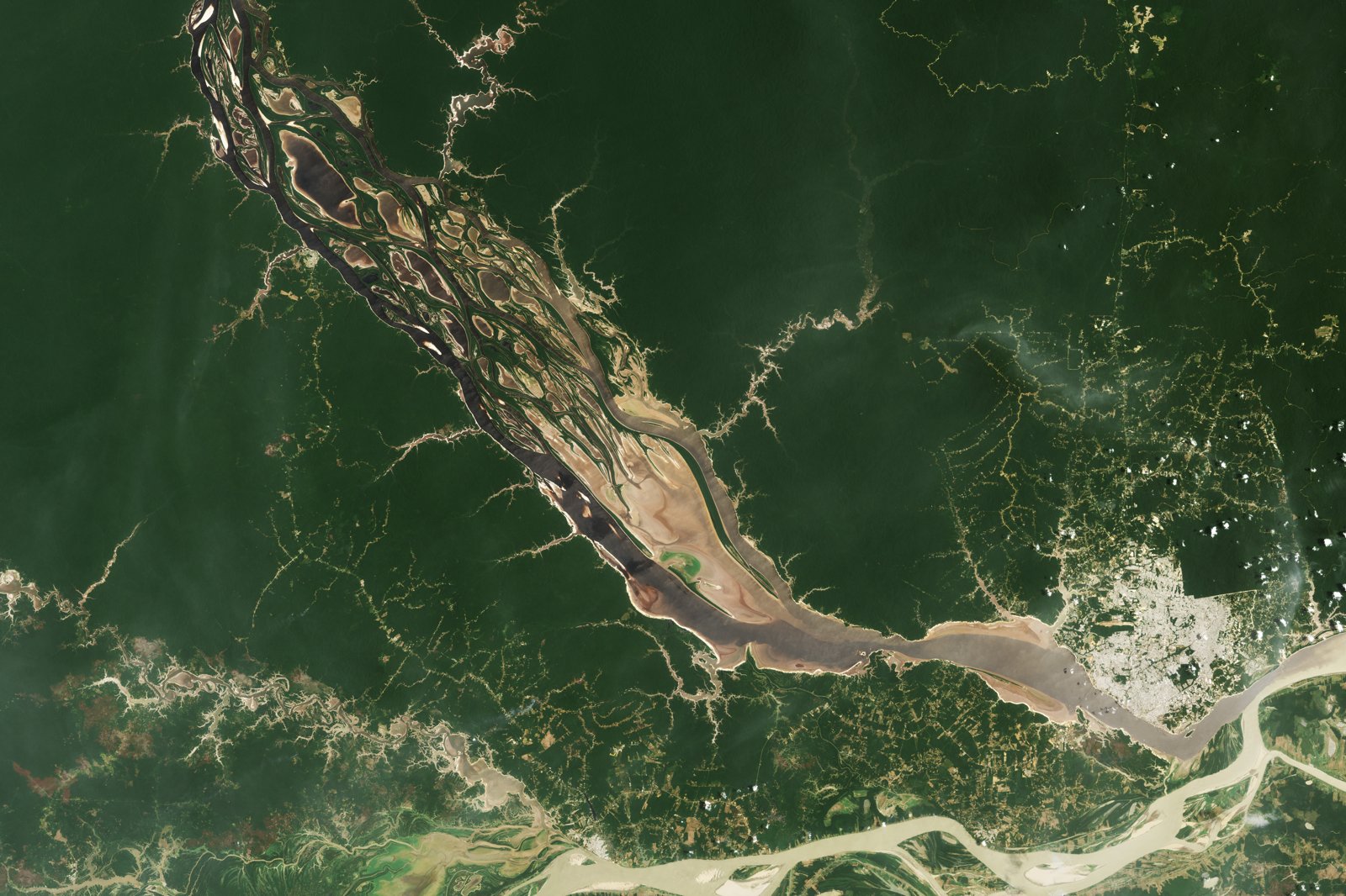 Satellite view of the shrinking Rio Negro during the record 2023 Amazon drought that dropped the river to its lowest level since 1902 and re-exposed the Ponta das Lajes carvings.