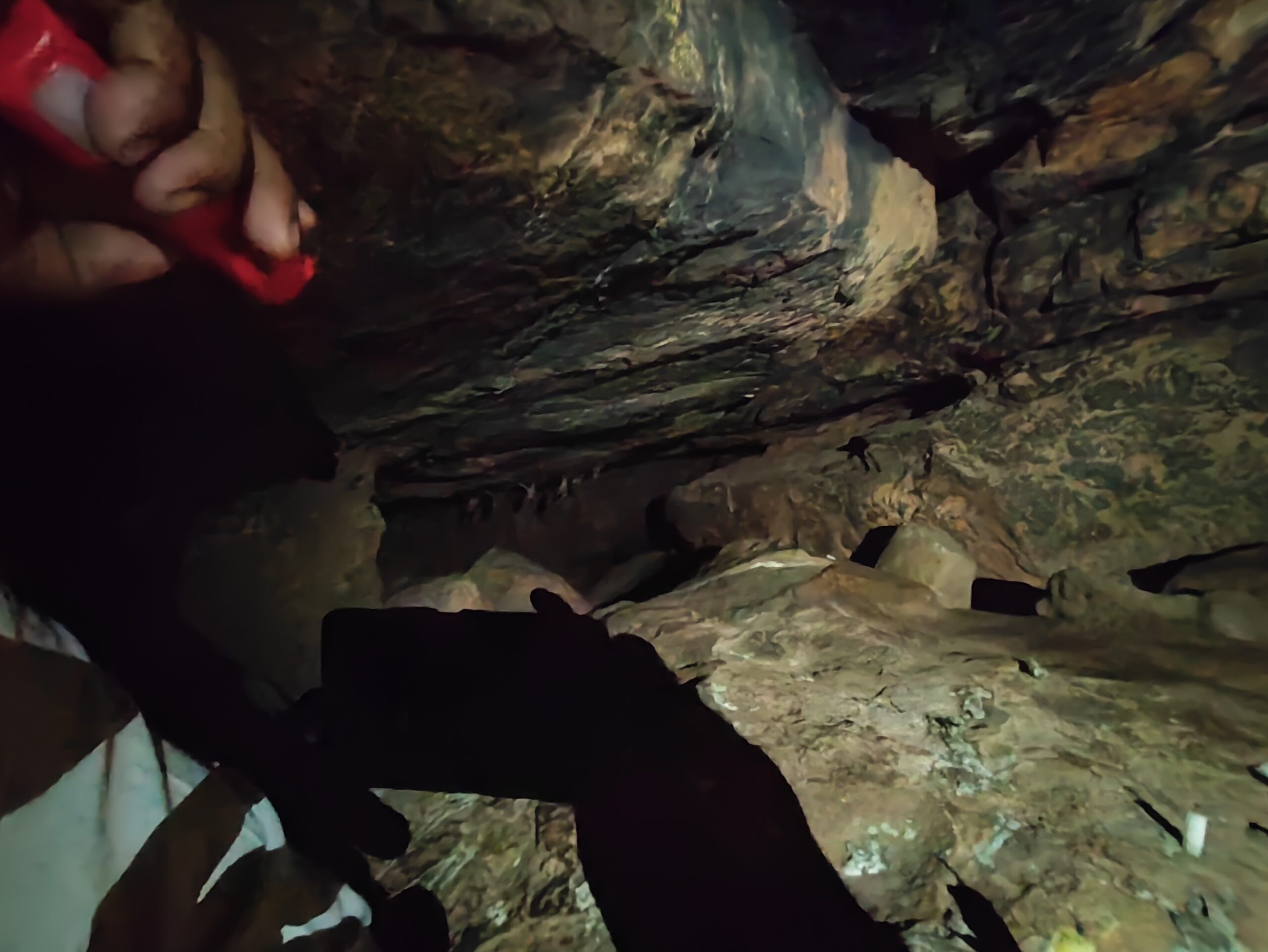 Rock face and openings of Saptaparni Cave in the flank of Vaibhara Hill, Rajgir