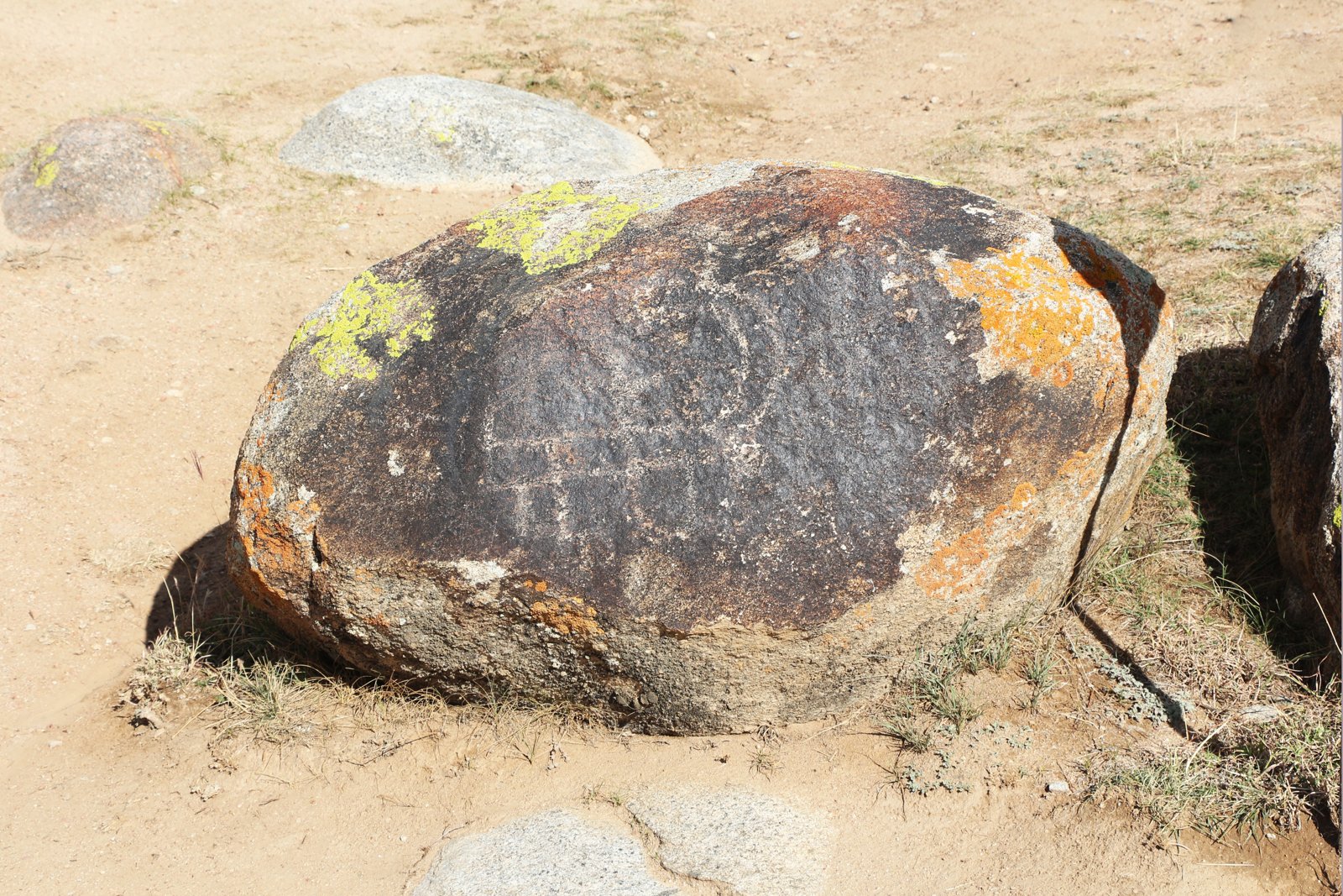 Eine in einen dunklen Felsblock gehauene Steinbockfigur auf dem Freiluft-Petroglyphenfeld von Cholpon-Ata am Issyk-Kul-See in Kirgisistan.