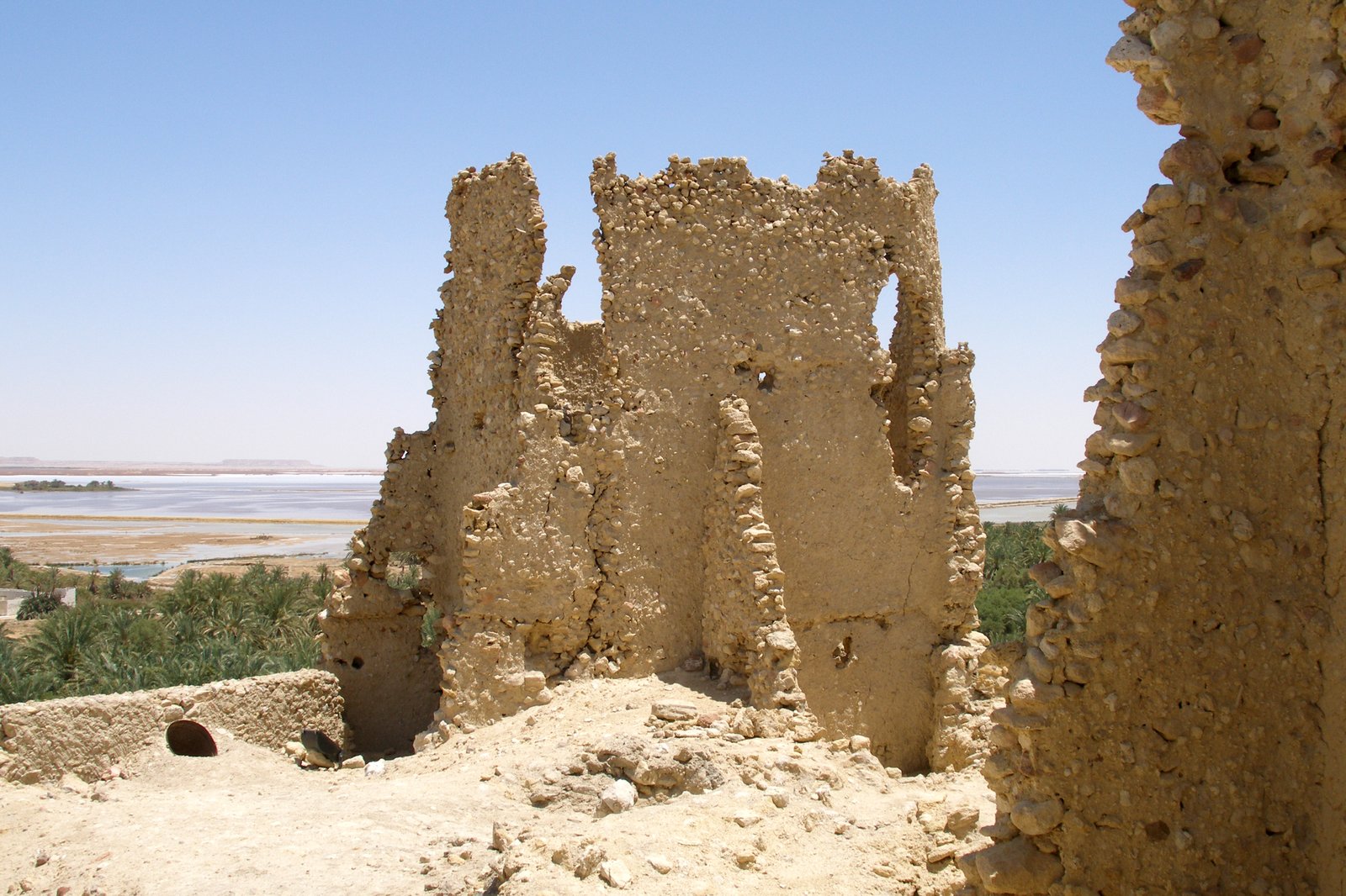 Temple of the Oracle: Alexander’s 331 BC Siwa Pilgrimage