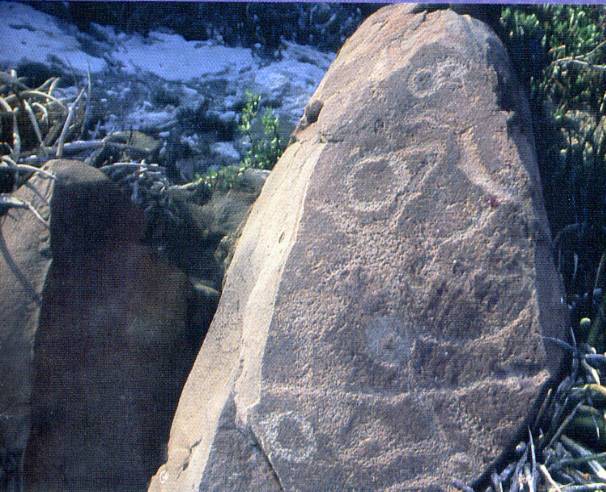 Boca de Potrerillos 2