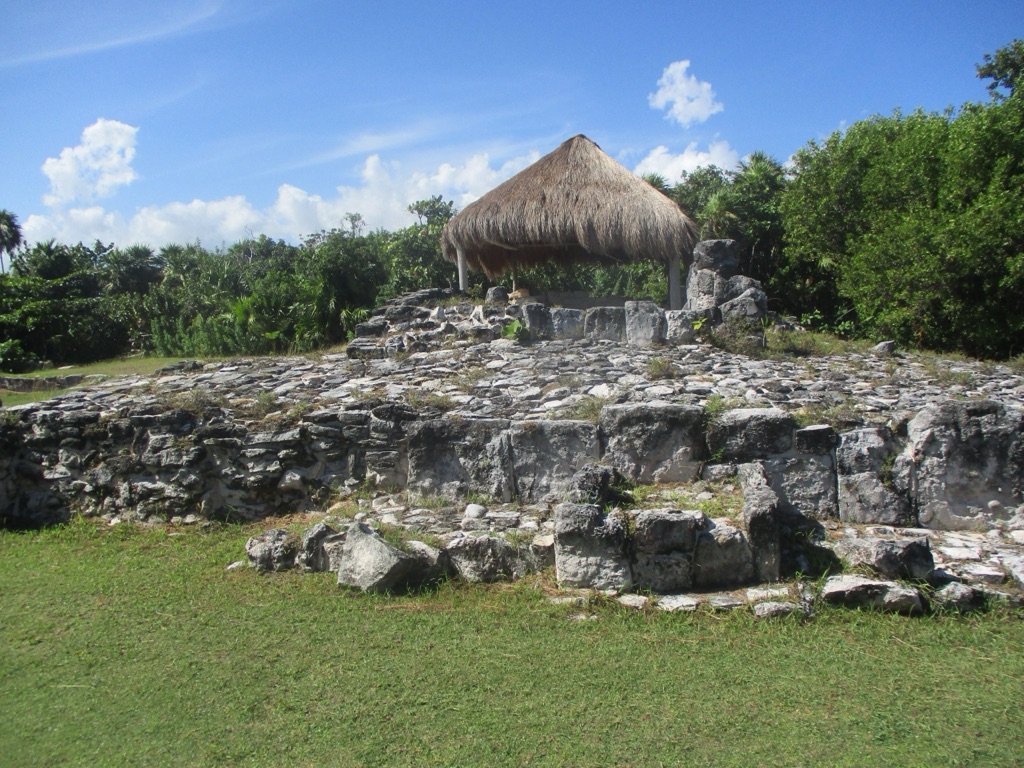 El Rey archaeological site 4