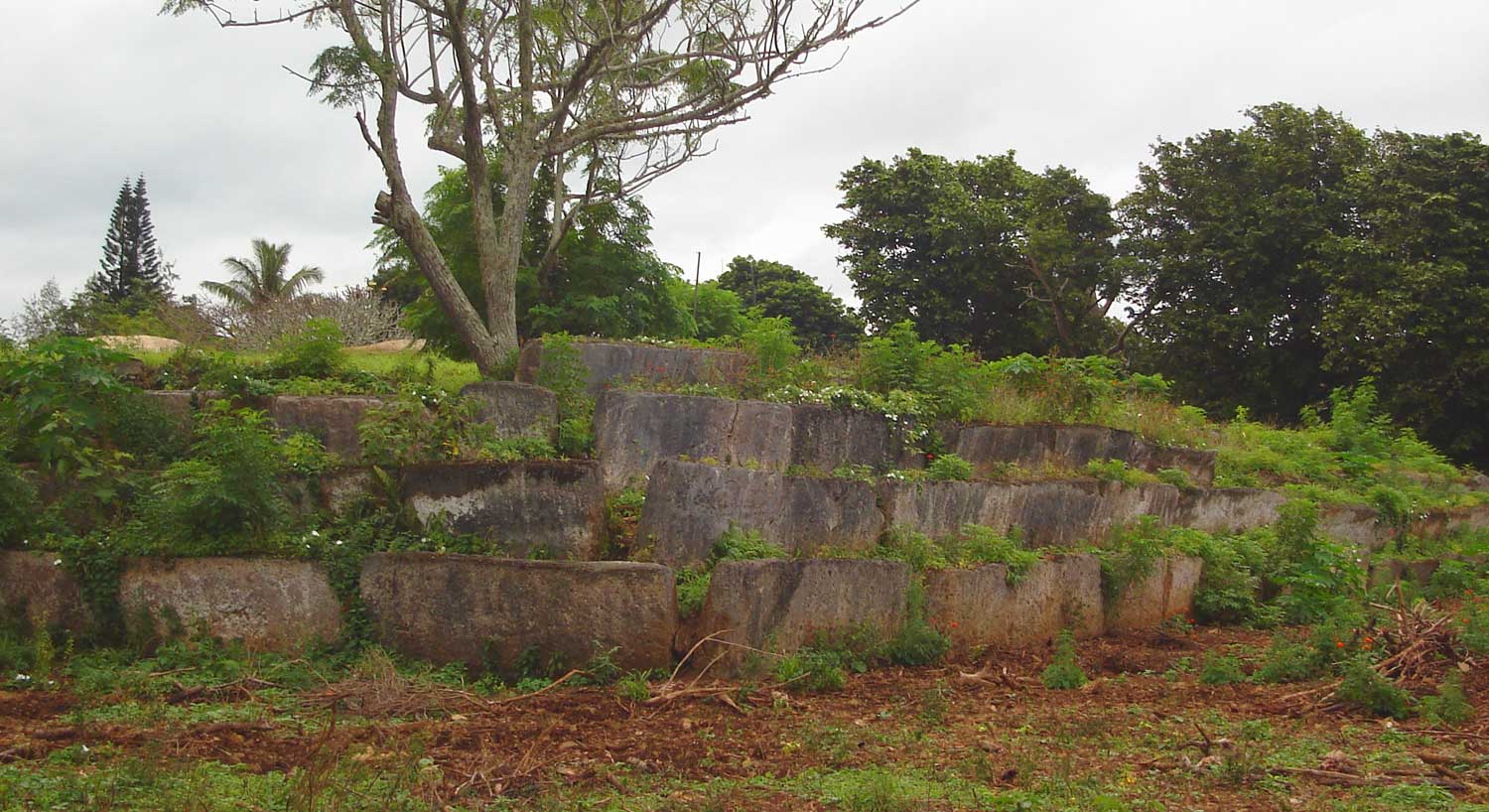 Langi Tombs 6