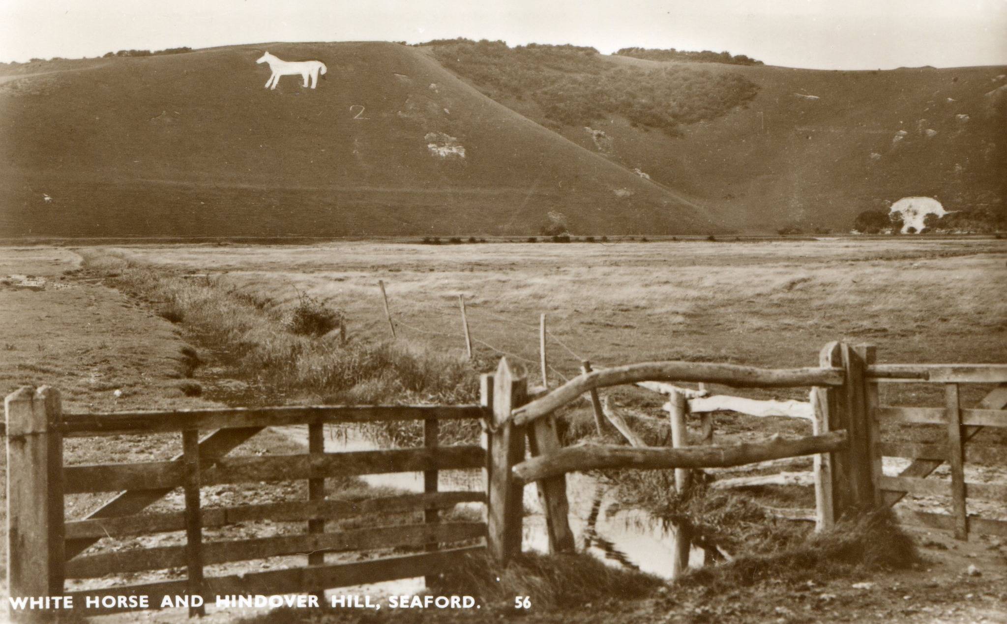 Litlington White Horse 1