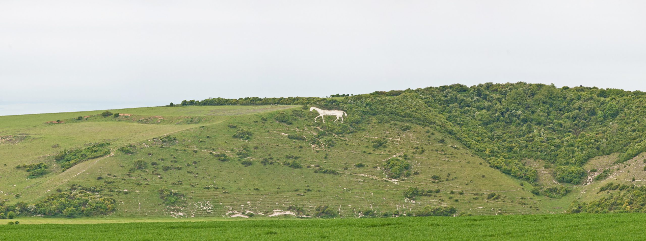 Litlington White Horse 3