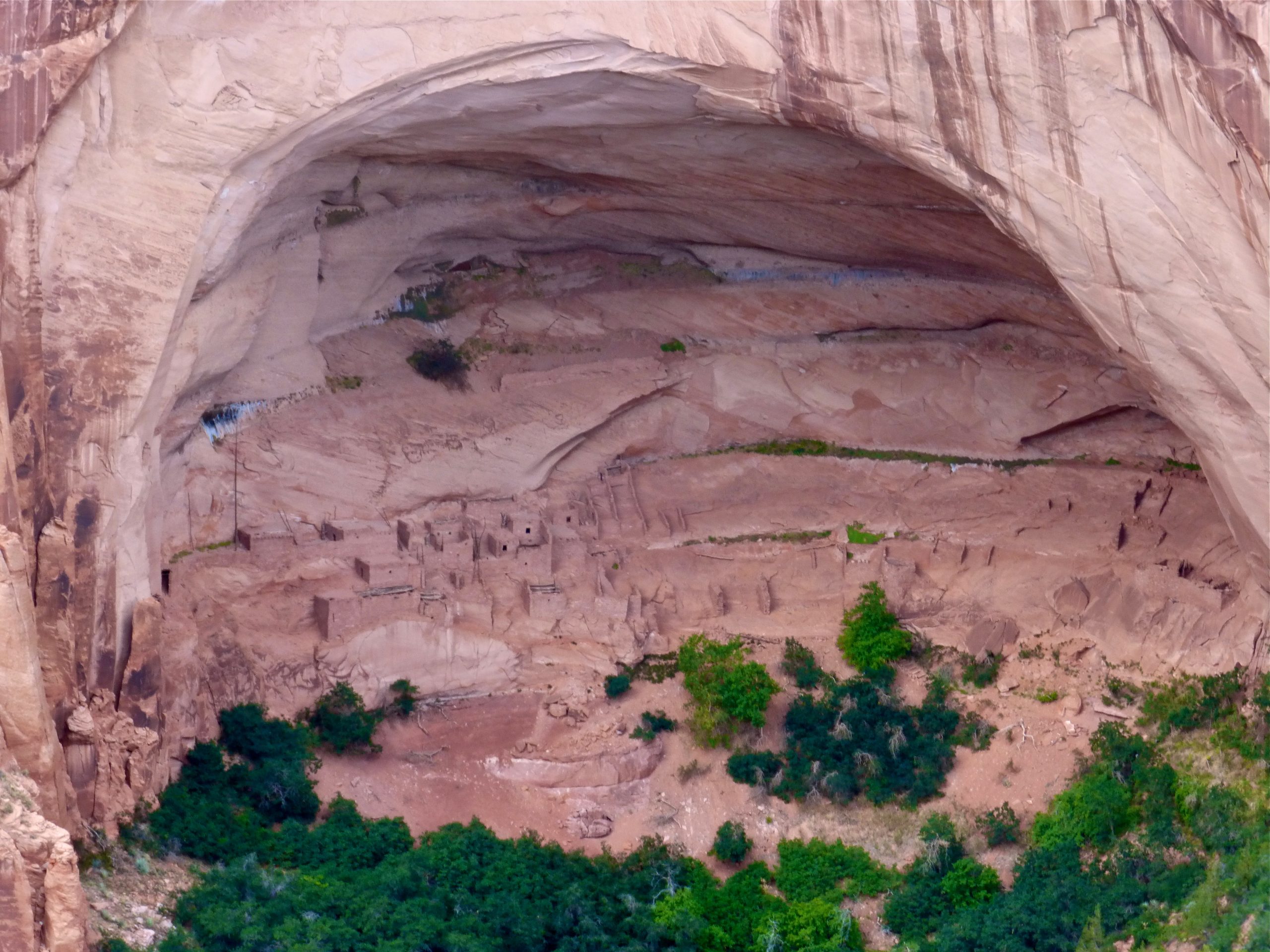 Navajo National Monument 2