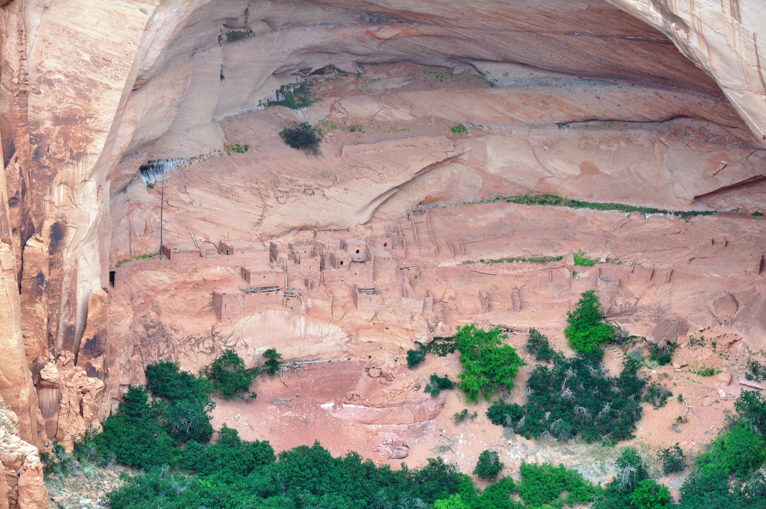 Navajo National Monument 3
