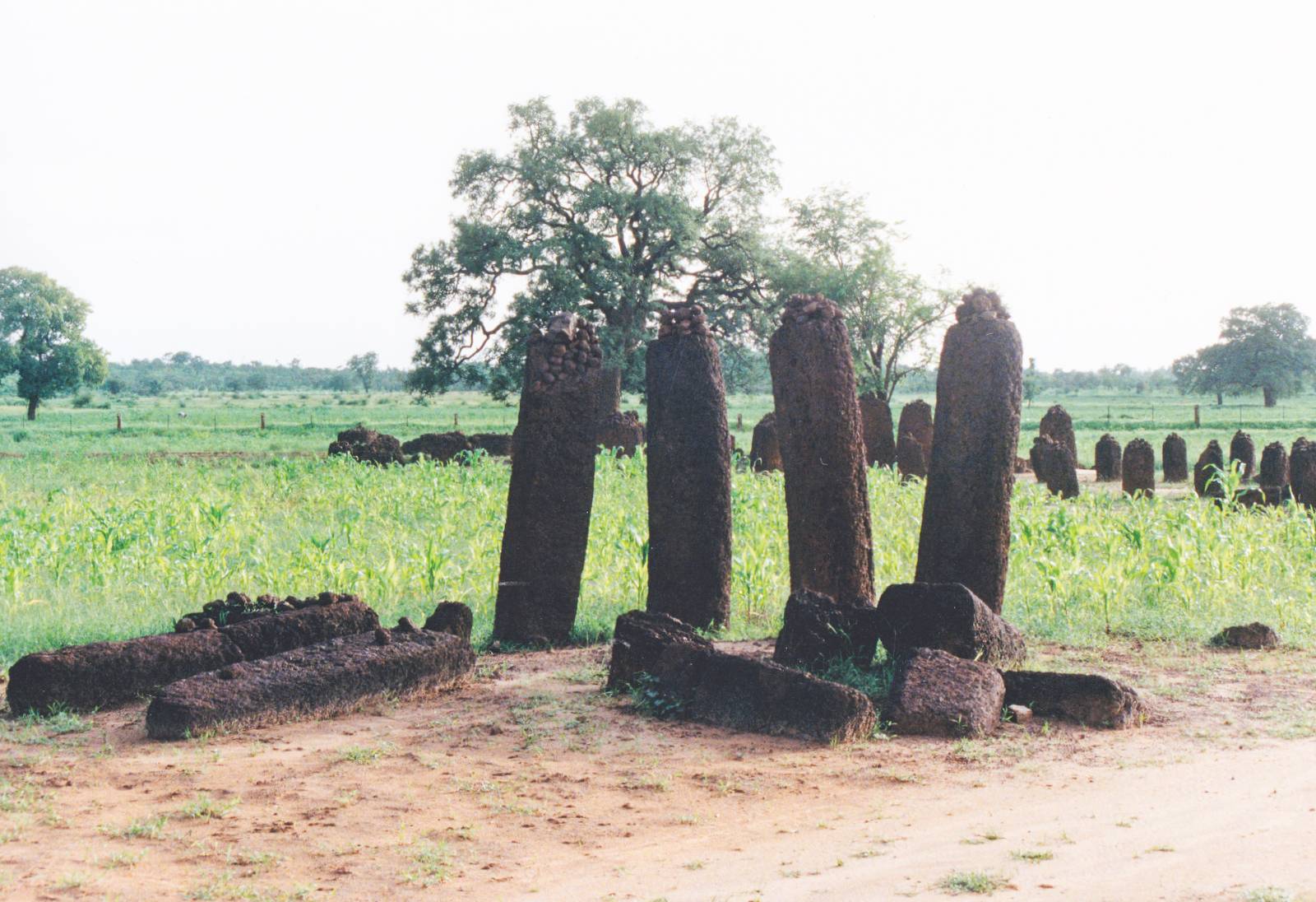 Stone Circles of Senegambia 1