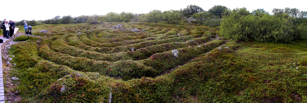 Stone labyrinths of Bolshoi Zayatsky Island 6